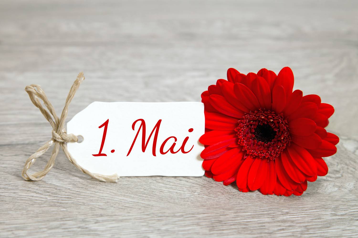 1. Mai buffet Mortens Kro